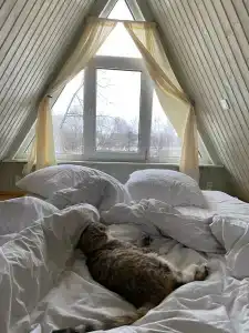 Yakovka57 Tourist base - 22