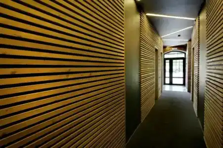 Wellion Baumansky - 12