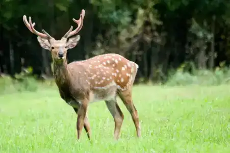 La Ferme de Reve - 15