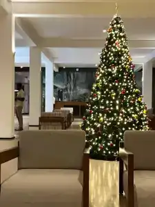 Pandanus Beach Resort & Spa - 36