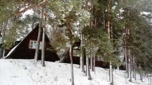 Лукоморье - 3