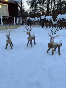 Кумуткан - 41
