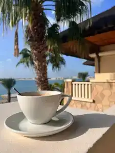 Sofitel Dubai the Palm Resort & Spa - 9