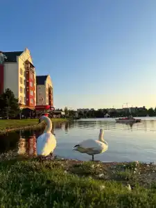 Muller Bach Apart-Hotel - 3