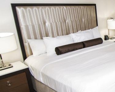 Hilton Niagara Falls/ Fallsview and Suites - 29