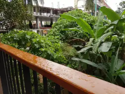 Holiday Inn Resort Phuket Surin Beach - 84
