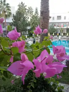 Club Mermaid Village - 23