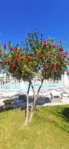 Kaya Side - All Inclusive - 65