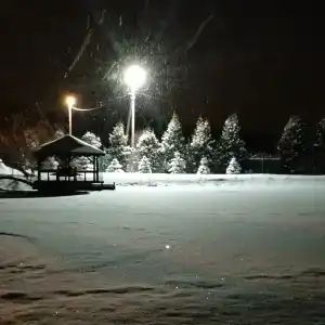 Zolotaya Rybka Resort - 2