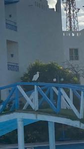 Sharm Bride Resort Aqua & Spa - 45