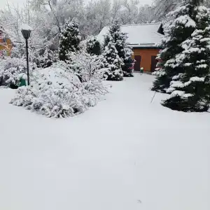 Tihaya Gavan Tourist base - 2