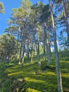 Borovoe Tourist base - 3