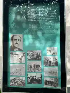 Forest 1961 & Restaurant - 21