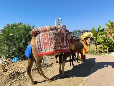 Club Sun Heaven - 51