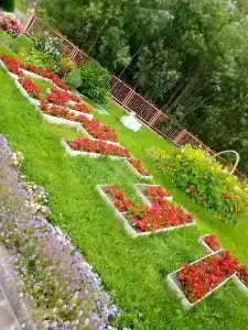 Kedrovyy Log - 32