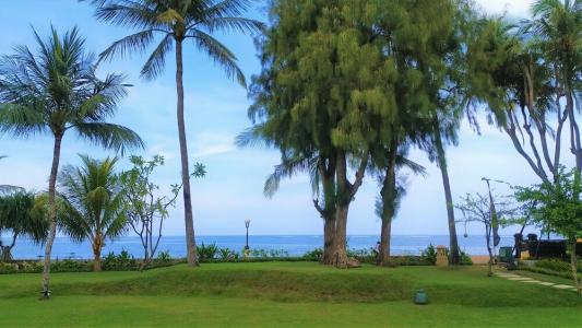 The Patra Bali Resort & Villas - 18