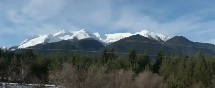 Saint George Palace Aparthotel - 43