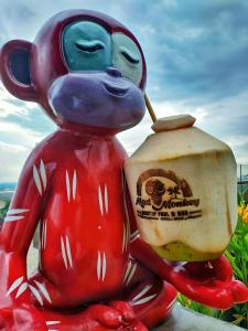 MaxOnes at Ubud - 12