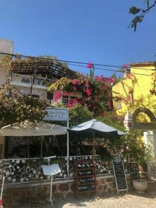 Lemon Villa - Adult Only - 21