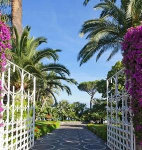 Grand Riviera - 53