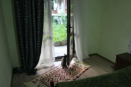 Guest House Dali - 11