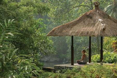 Four Seasons Resort Bali at Sayan - 80