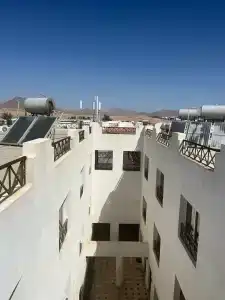 Falcon Naama Star - 24