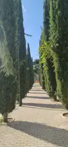 A.Roma Lifestyle - 46
