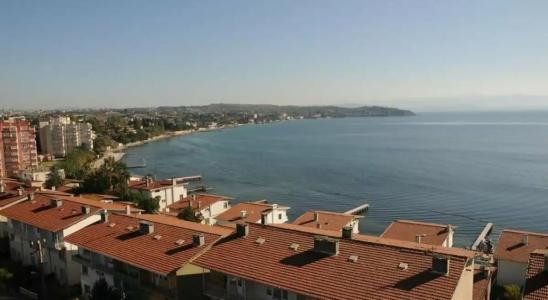 PARADISE ISLAND - 21