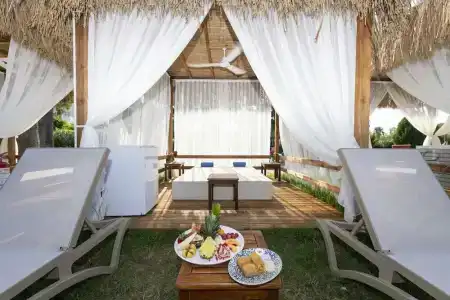 Asteria Collection - 64