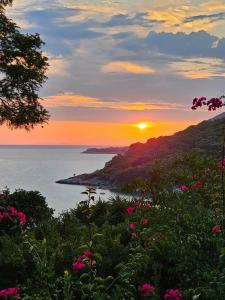 Melanippe Relaxing - Adults Only - 45