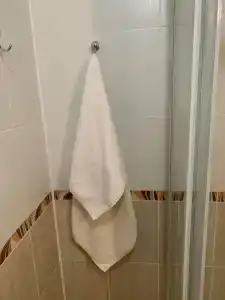 Belovezhskaya pushcha №2 - 65