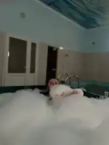 Атлант Экзотик - 30