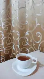 Detskiy Sanatoriy "Rosinka" - 98