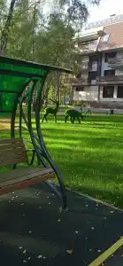 Dom Otdykha Elochki Sanatorium - 85