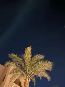 Pickalbatros Aqua Blu Resort - - 91