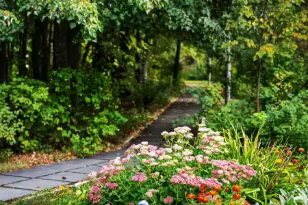 Health Resort Signal - 34