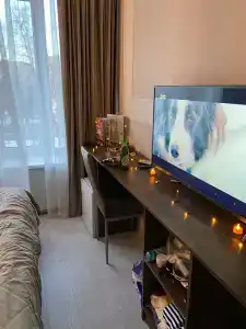 Arion Mini Avtozavodskaya - 54