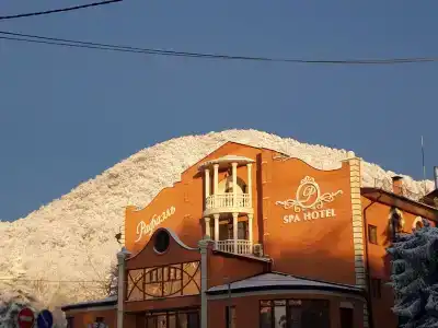 Salut Sanatorium - 26