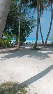 Rashu Hiyaa - 77