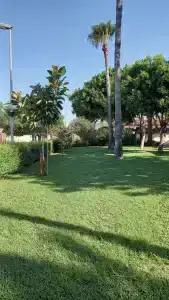 Nerton - All Inclusive - 23