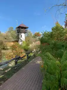 Zagorodny Klub Kura Tse Tse - 35