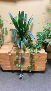 Екатерингоф - 46