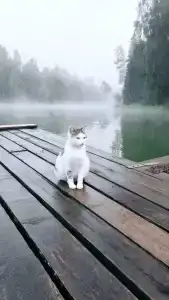 Ethno-Usadba Tourist base - 15