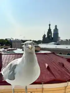 Три МостА - 81