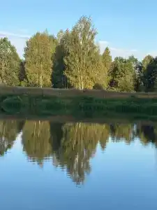 Березина (Минская обл.) - 21