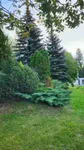 Novotel Moscow Sheremetyevo Airport - 39