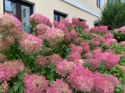 БАГРАТИОН - 90