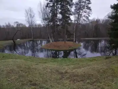 Sanatoriy Shchelykovo - 90