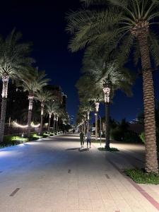 Fairmont The Palm - 16